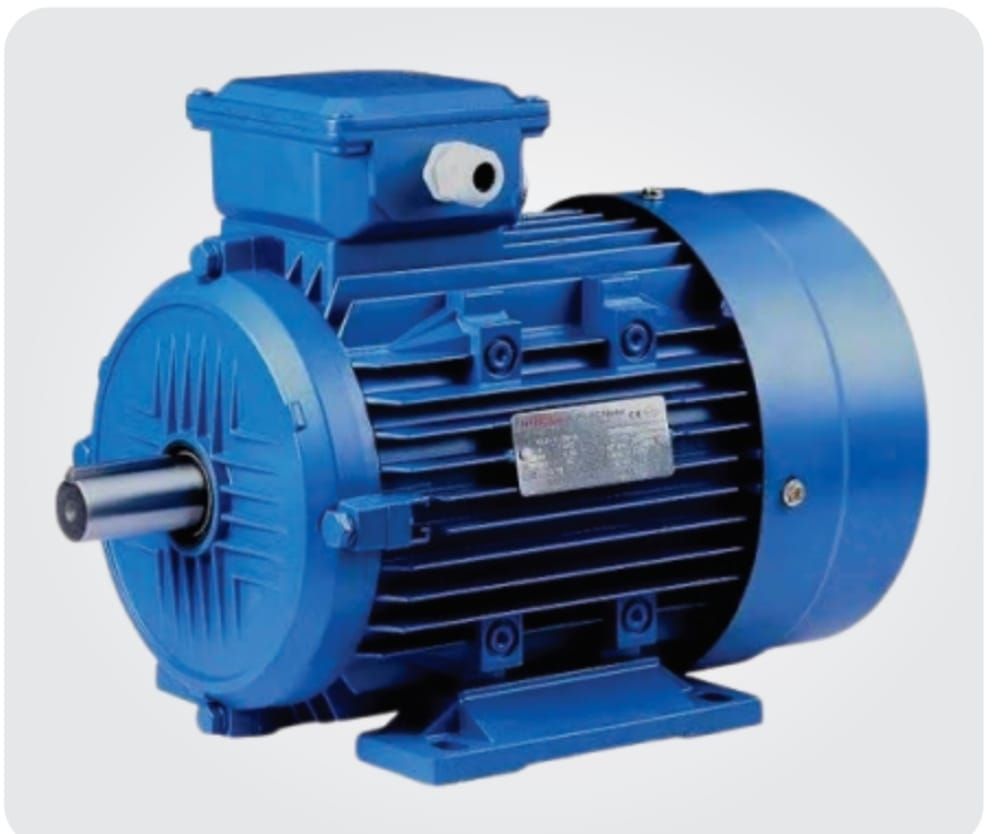 Electric Induction Motor